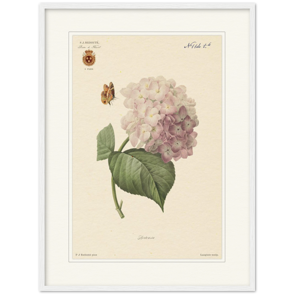 Pierre-Joseph Redouté, floral, flowers, art, wall art, flower prints, botanical, illustration, plants, roses