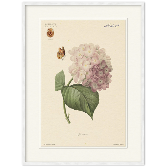 Pierre-Joseph Redouté, floral, flowers, art, wall art, flower prints, botanical, illustration, plants, roses