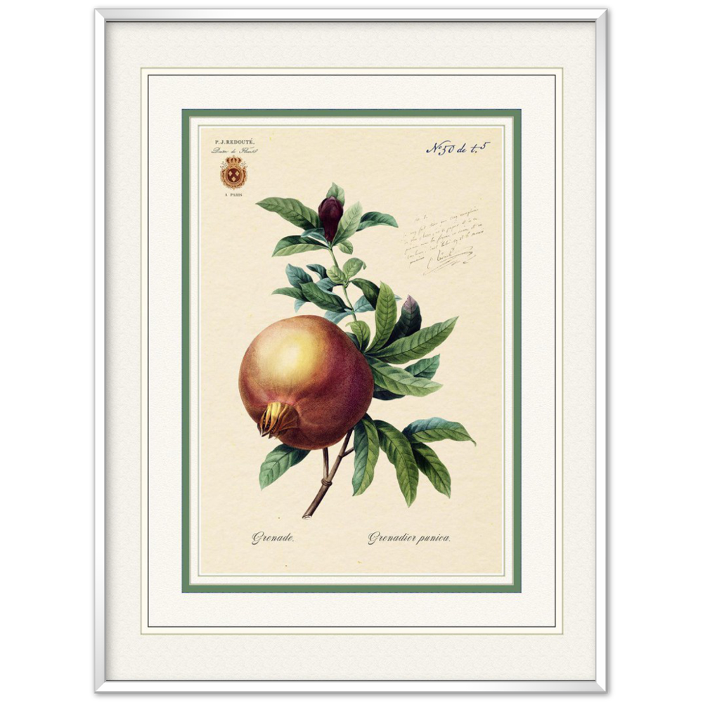 Pomegranate (mat and gold edition)