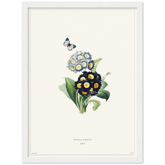 Pierre-Joseph Redouté, floral, flowers, art, wall art, flower prints, botanical, illustration, plants, roses
