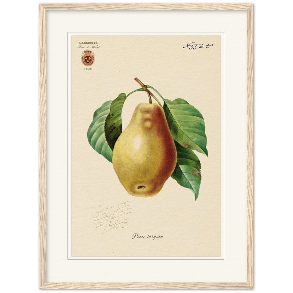 Tarquin Pear