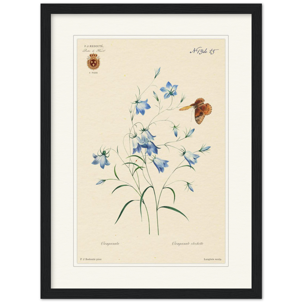 Pierre-Joseph Redouté, floral, flowers, art, wall art, flower prints, botanical, illustration, plants, roses
