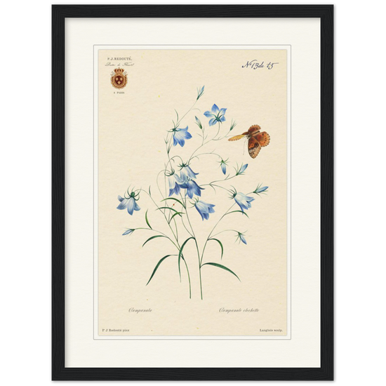 Pierre-Joseph Redouté, floral, flowers, art, wall art, flower prints, botanical, illustration, plants, roses