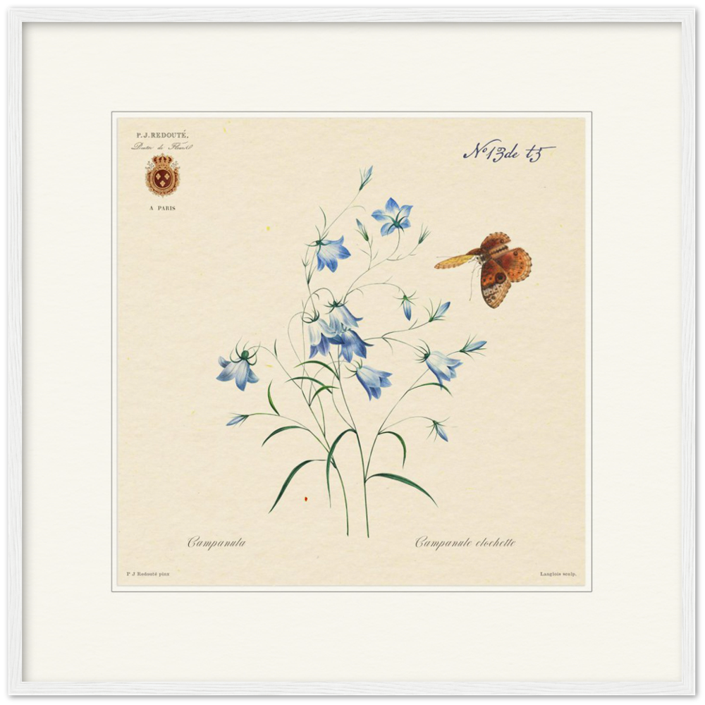 Pierre-Joseph Redouté, floral, flowers, art, wall art, flower prints, botanical, illustration, plants, roses