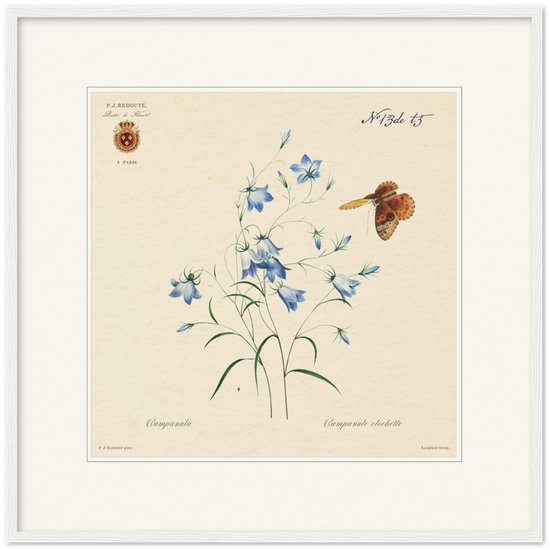 Pierre-Joseph Redouté, floral, flowers, art, wall art, flower prints, botanical, illustration, plants, roses