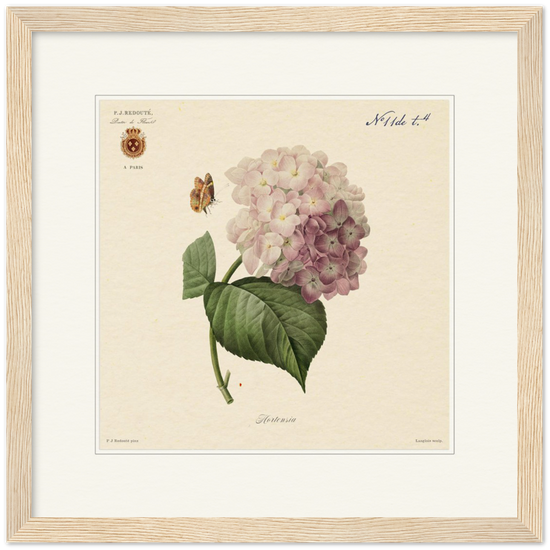 Pierre-Joseph Redouté, floral, flowers, art, wall art, flower prints, botanical, illustration, plants, roses