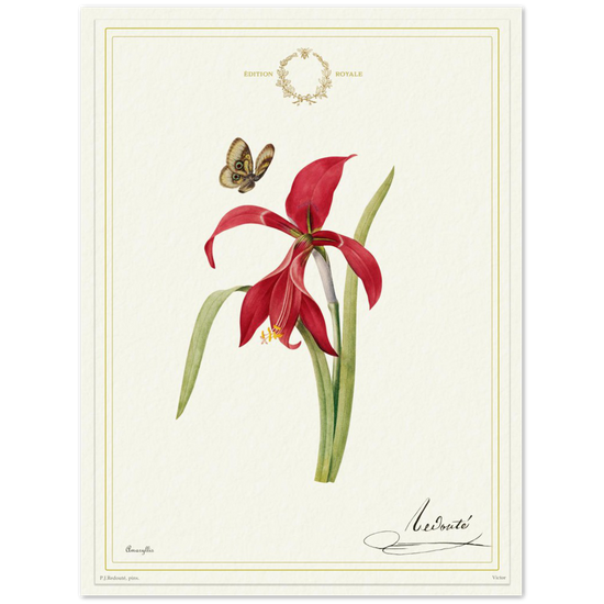 Pierre-Joseph Redouté, floral, flowers, art, wall art, flower prints, botanical, illustration, plants, roses