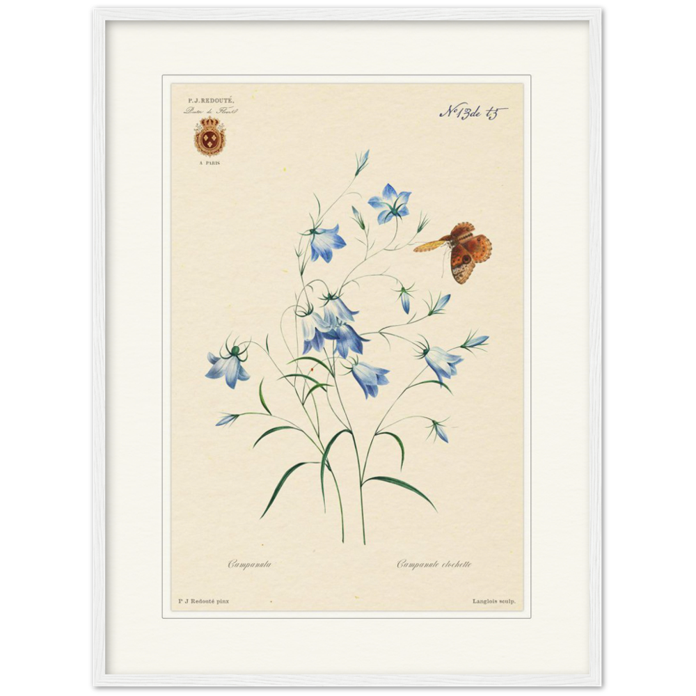 Pierre-Joseph Redouté, floral, flowers, art, wall art, flower prints, botanical, illustration, plants, roses