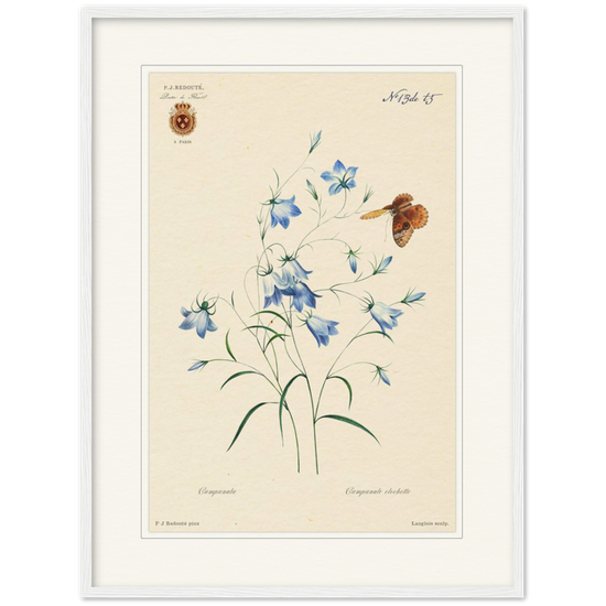 Pierre-Joseph Redouté, floral, flowers, art, wall art, flower prints, botanical, illustration, plants, roses