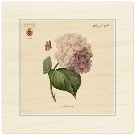 Pierre-Joseph Redouté, floral, flowers, art, wall art, flower prints, botanical, illustration, plants, roses