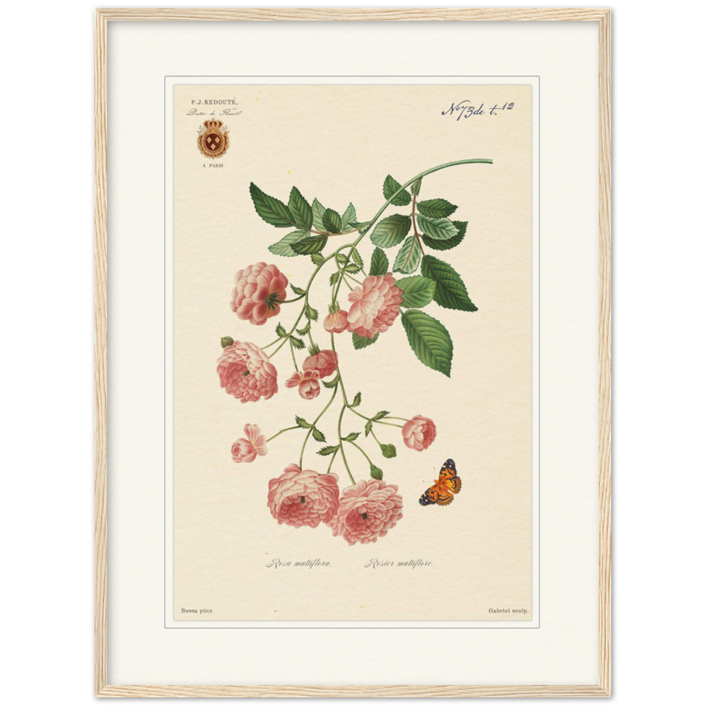 Pierre-Joseph Redouté, floral, flowers, art, wall art, flower prints, botanical, illustration, plants, roses