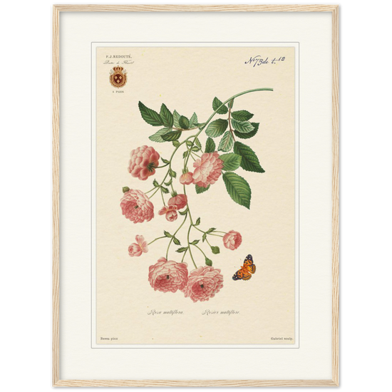Pierre-Joseph Redouté, floral, flowers, art, wall art, flower prints, botanical, illustration, plants, roses