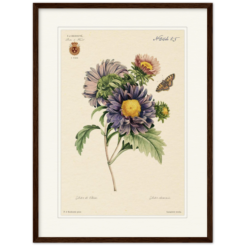 Pierre-Joseph Redouté, floral, flowers, art, wall art, flower prints, botanical, illustration, plants, roses