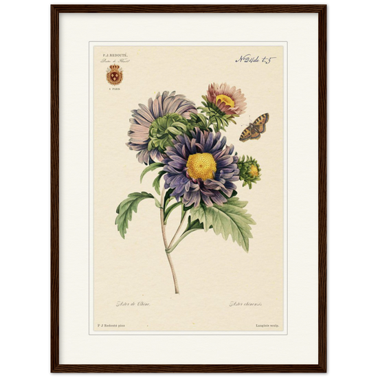 Pierre-Joseph Redouté, floral, flowers, art, wall art, flower prints, botanical, illustration, plants, roses