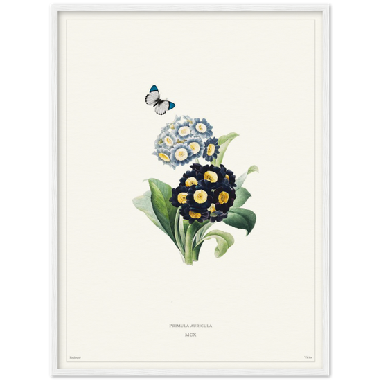 Pierre-Joseph Redouté, floral, flowers, art, wall art, flower prints, botanical, illustration, plants, roses