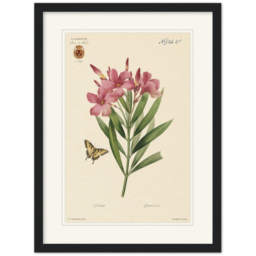 Pierre-Joseph Redouté, floral, flowers, art, wall art, flower prints, botanical, illustration, plants, roses
