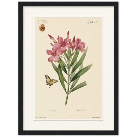 Pierre-Joseph Redouté, floral, flowers, art, wall art, flower prints, botanical, illustration, plants, roses