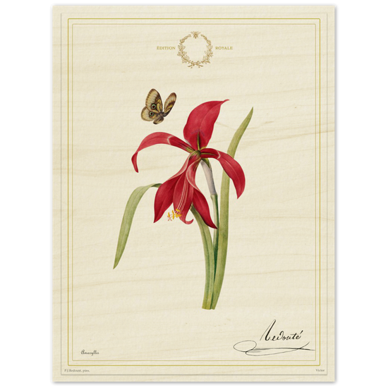 Pierre-Joseph Redouté, floral, flowers, art, wall art, flower prints, botanical, illustration, plants, roses