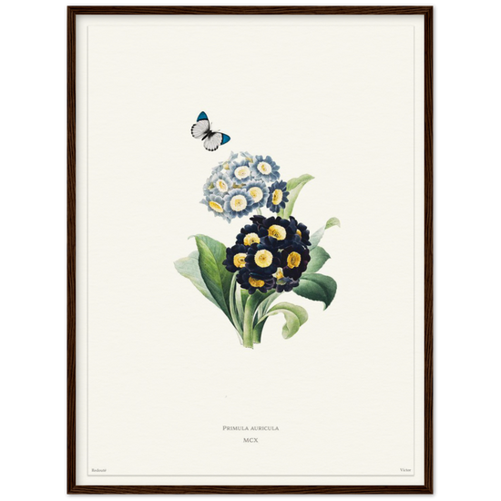 Pierre-Joseph Redouté, floral, flowers, art, wall art, flower prints, botanical, illustration, plants, roses