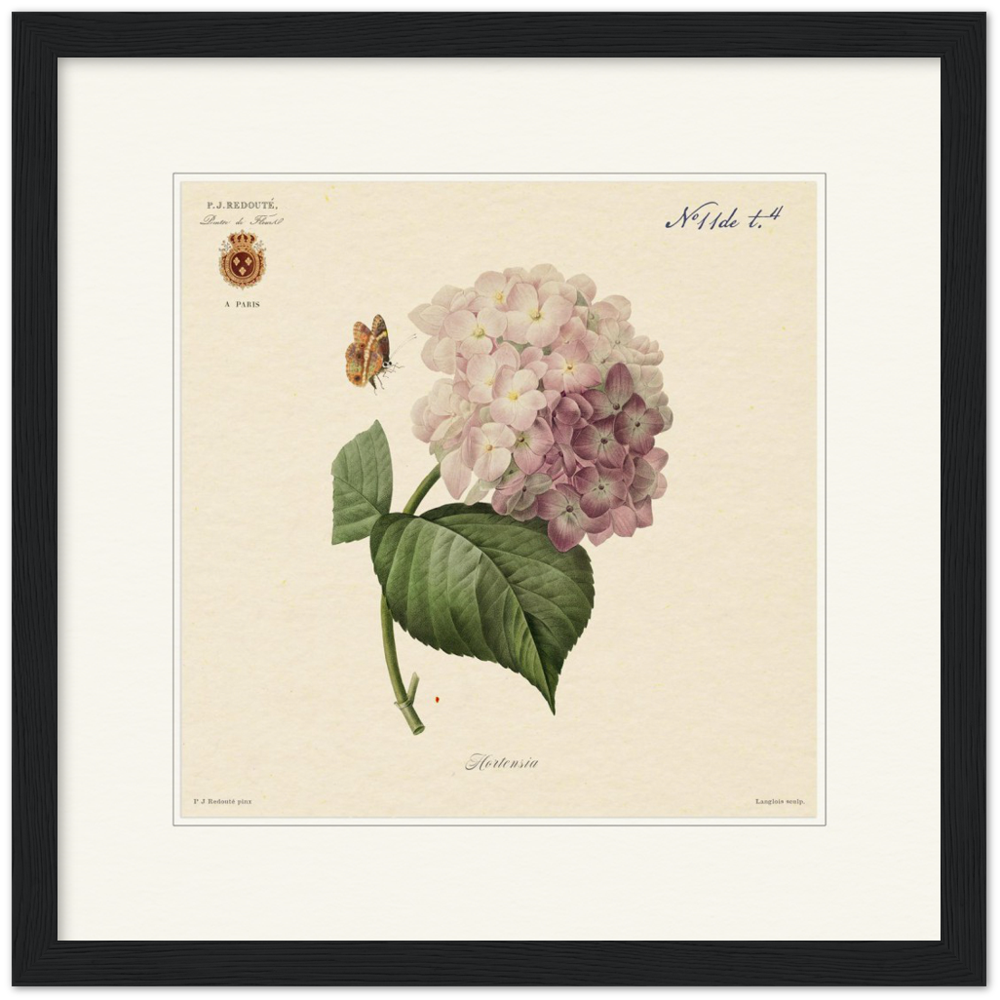 Pierre-Joseph Redouté, floral, flowers, art, wall art, flower prints, botanical, illustration, plants, roses