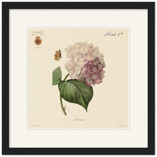 Pierre-Joseph Redouté, floral, flowers, art, wall art, flower prints, botanical, illustration, plants, roses