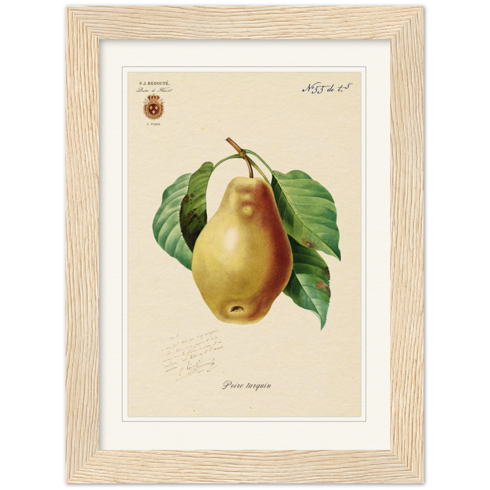 Tarquin Pear