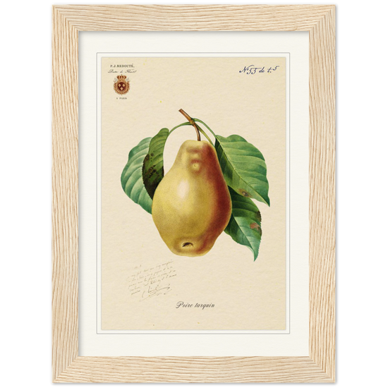 Tarquin Pear