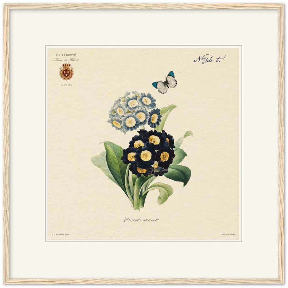 Pierre-Joseph Redouté, floral, flowers, art, wall art, flower prints, botanical, illustration, plants, roses