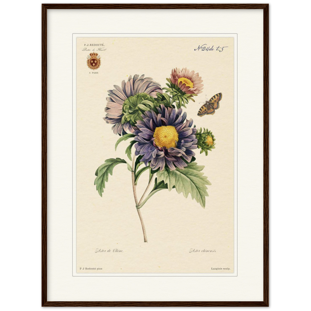 Pierre-Joseph Redouté, floral, flowers, art, wall art, flower prints, botanical, illustration, plants, roses