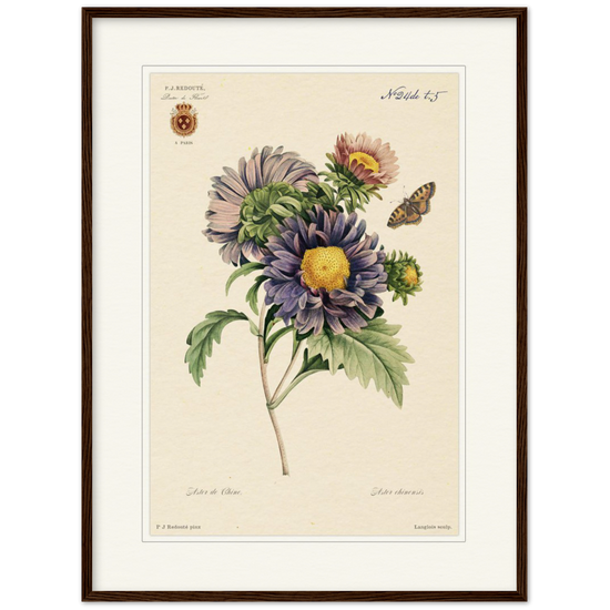 Pierre-Joseph Redouté, floral, flowers, art, wall art, flower prints, botanical, illustration, plants, roses