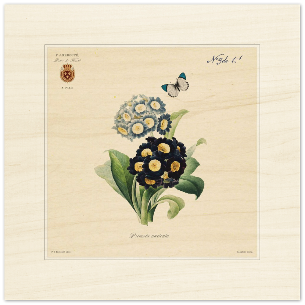 Pierre-Joseph Redouté, floral, flowers, art, wall art, flower prints, botanical, illustration, plants, roses