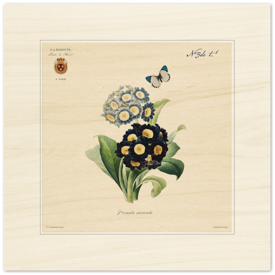 Pierre-Joseph Redouté, floral, flowers, art, wall art, flower prints, botanical, illustration, plants, roses