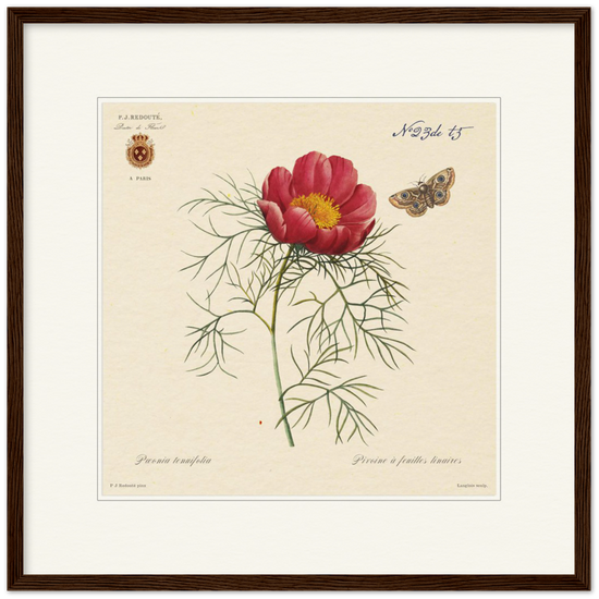 Pierre-Joseph Redouté, floral, flowers, art, wall art, flower prints, botanical, illustration, plants, roses