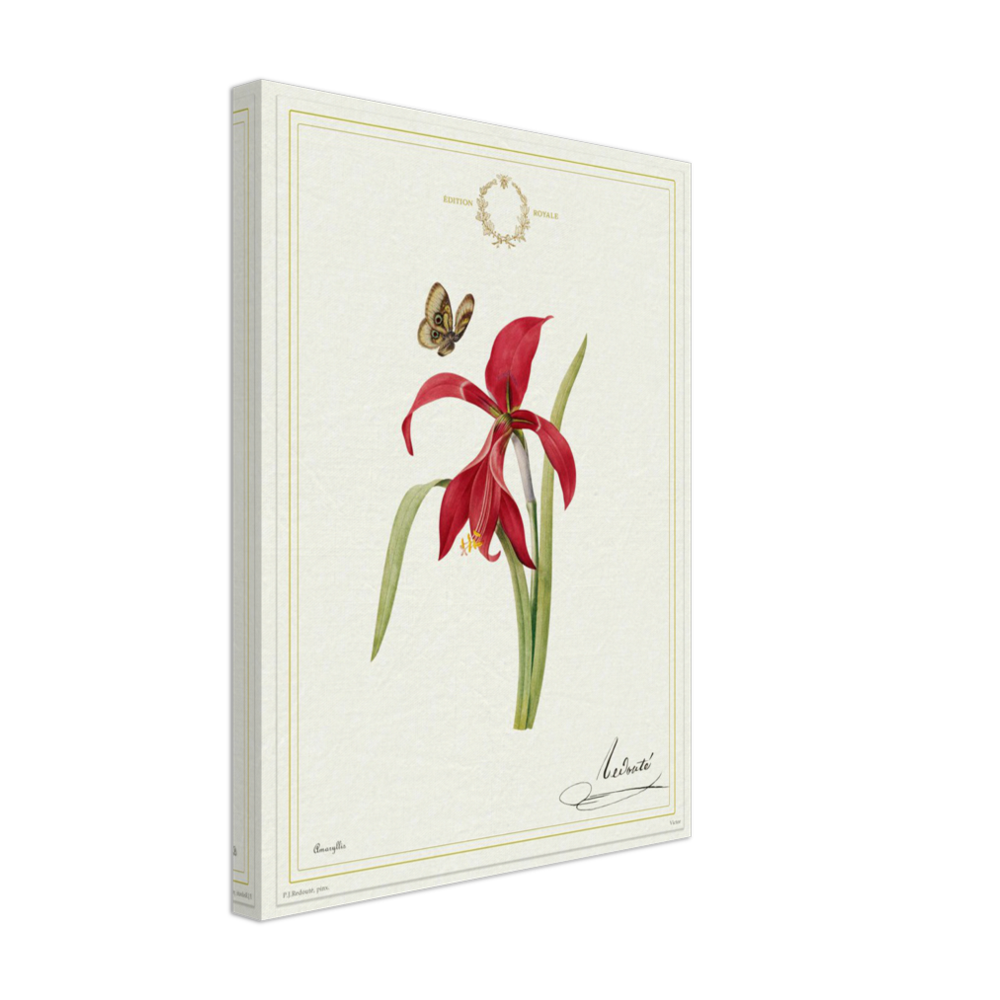 Pierre-Joseph Redouté, floral, flowers, art, wall art, flower prints, botanical, illustration, plants, roses