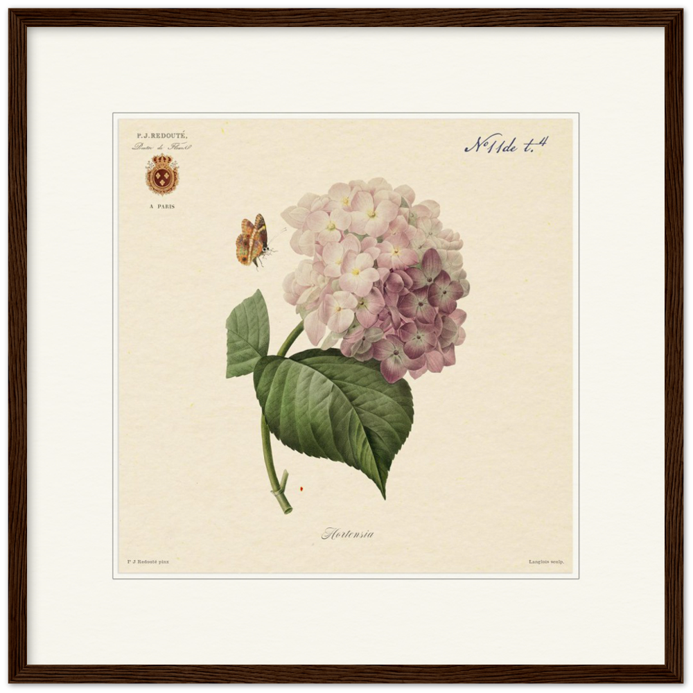 Pierre-Joseph Redouté, floral, flowers, art, wall art, flower prints, botanical, illustration, plants, roses