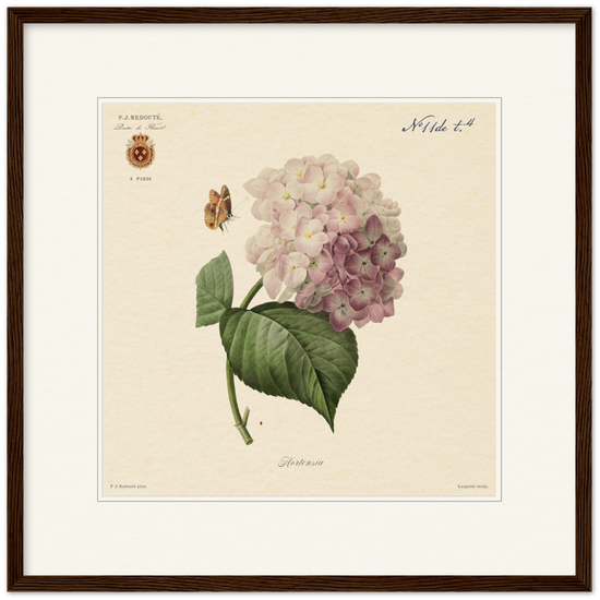 Pierre-Joseph Redouté, floral, flowers, art, wall art, flower prints, botanical, illustration, plants, roses