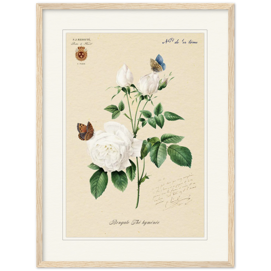 Pierre-Joseph Redouté, floral, flowers, art, wall art, flower prints, botanical, illustration, plants, roses