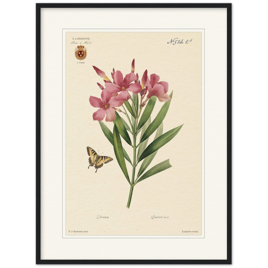 Pierre-Joseph Redouté, floral, flowers, art, wall art, flower prints, botanical, illustration, plants, roses