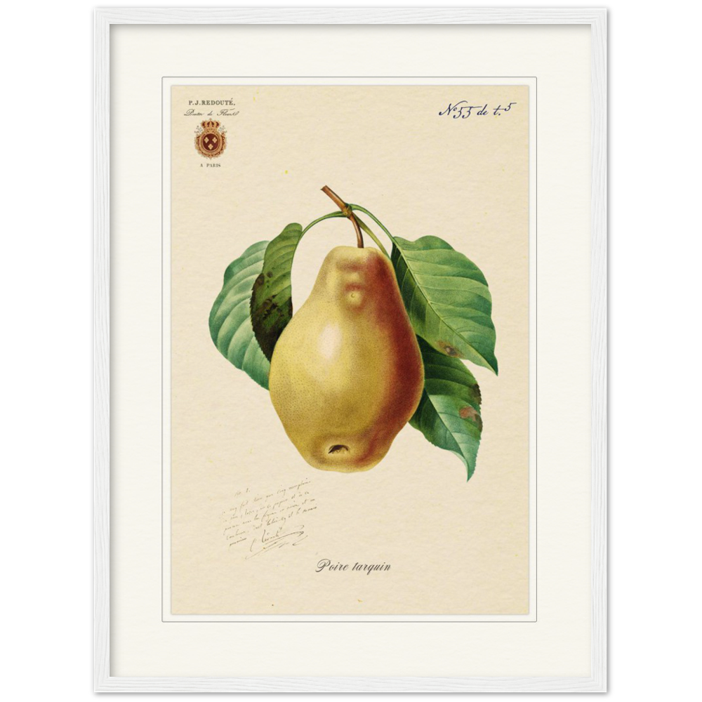 Tarquin Pear