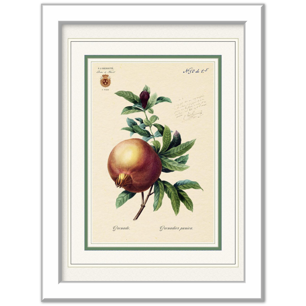 Pomegranate (mat and gold edition)
