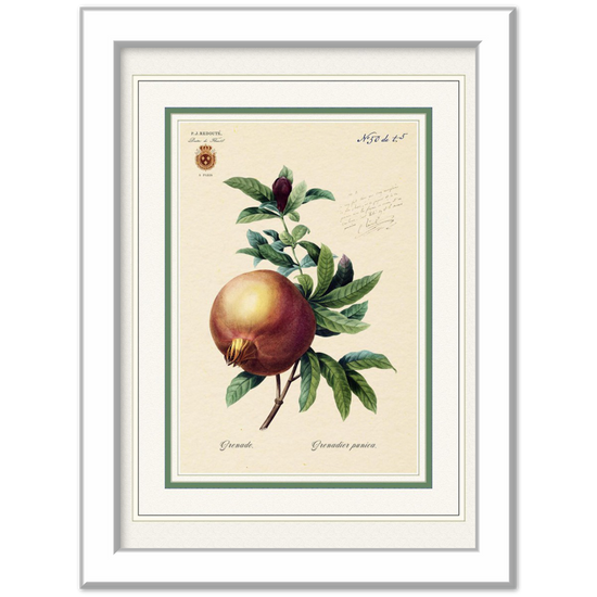 Pomegranate (mat and gold edition)