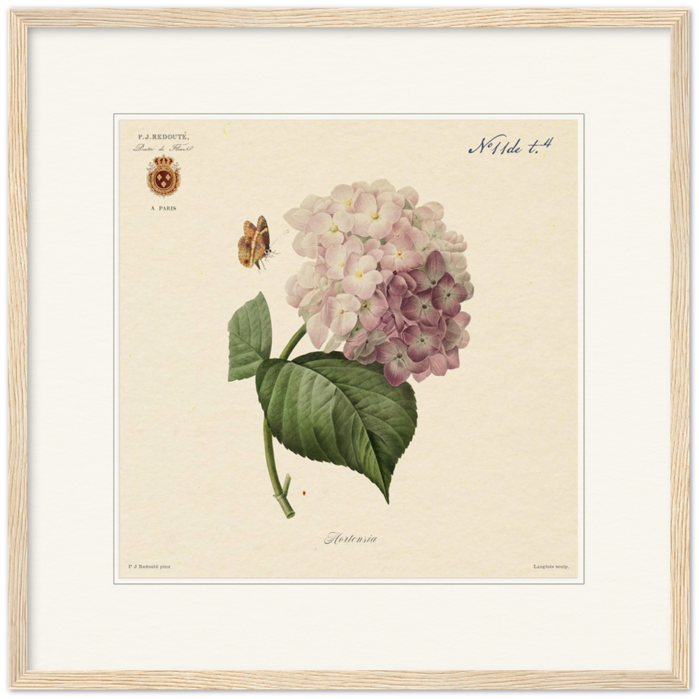 Pierre-Joseph Redouté, floral, flowers, art, wall art, flower prints, botanical, illustration, plants, roses