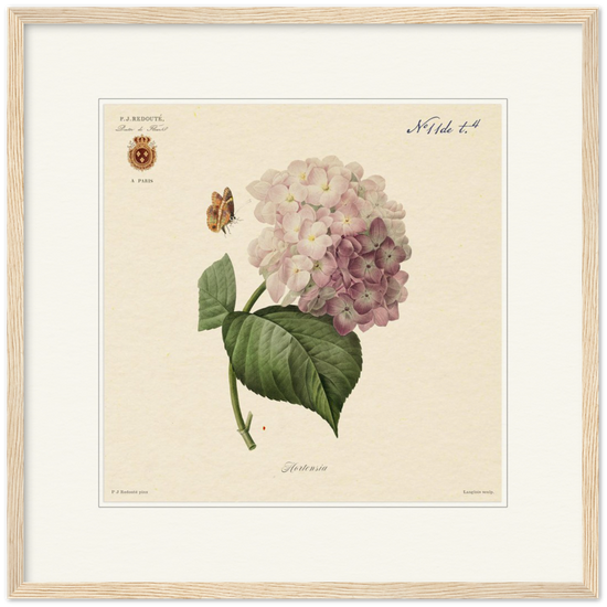 Pierre-Joseph Redouté, floral, flowers, art, wall art, flower prints, botanical, illustration, plants, roses