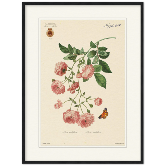 Pierre-Joseph Redouté, floral, flowers, art, wall art, flower prints, botanical, illustration, plants, roses