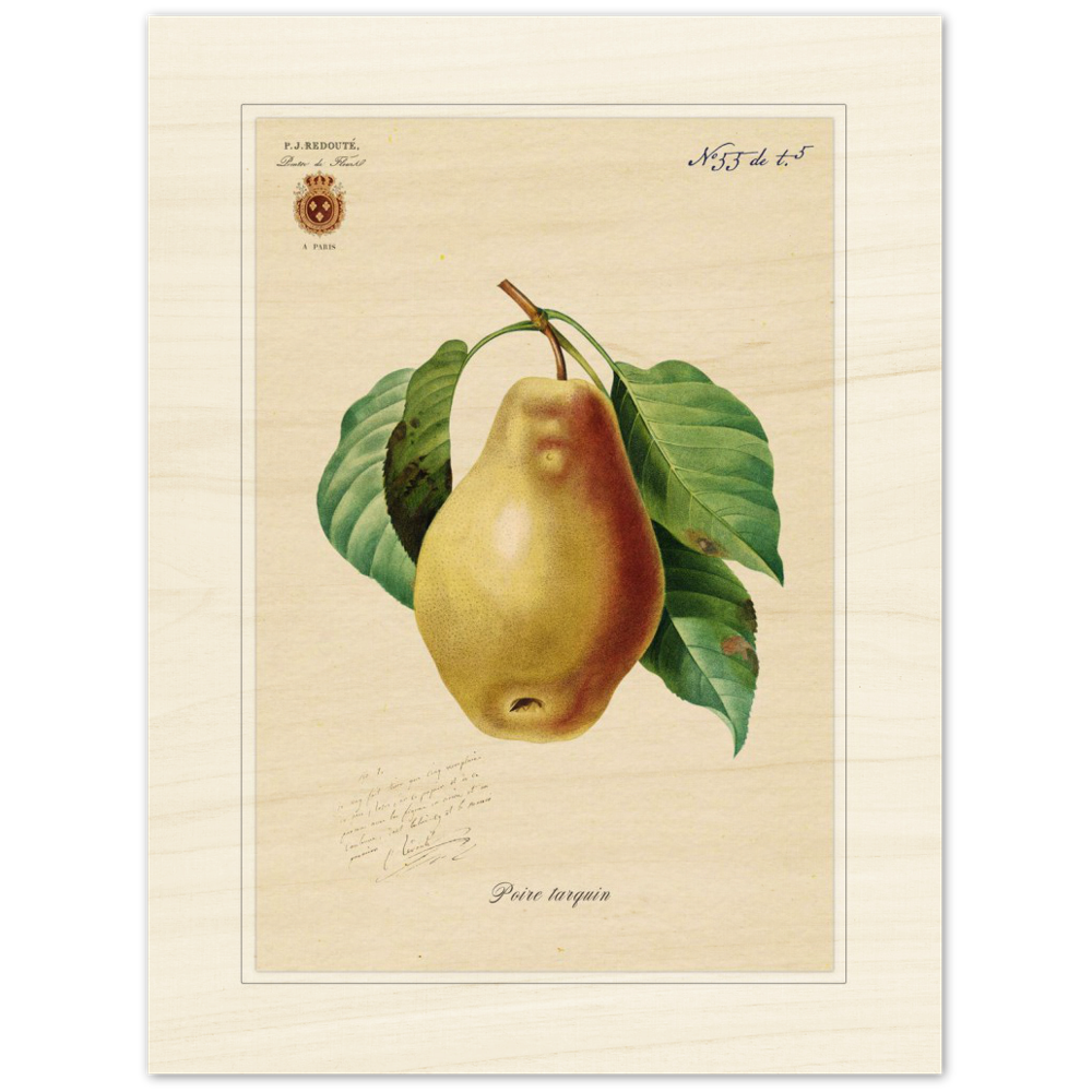 Tarquin Pear