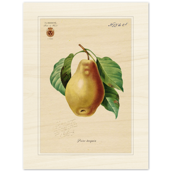 Tarquin Pear