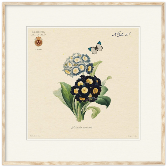 Pierre-Joseph Redouté, floral, flowers, art, wall art, flower prints, botanical, illustration, plants, roses