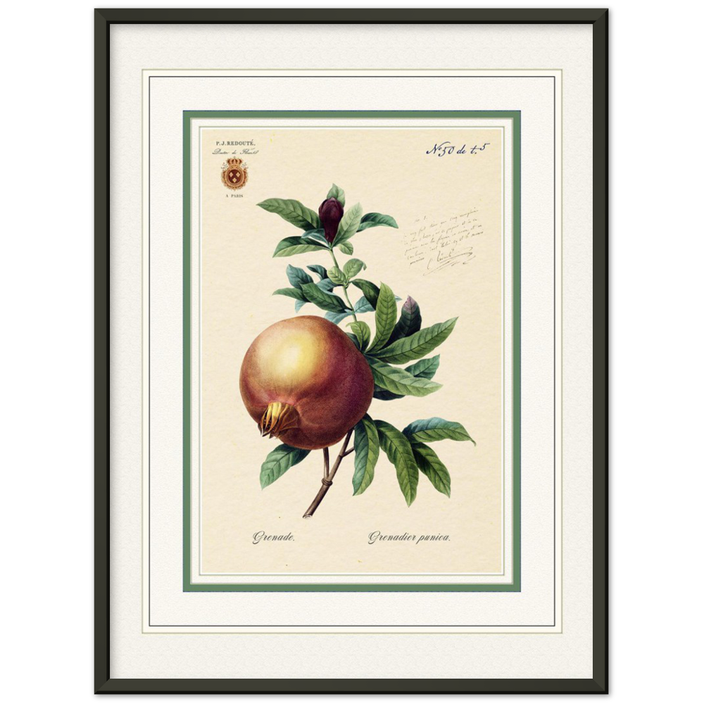 Pomegranate (mat and gold edition)
