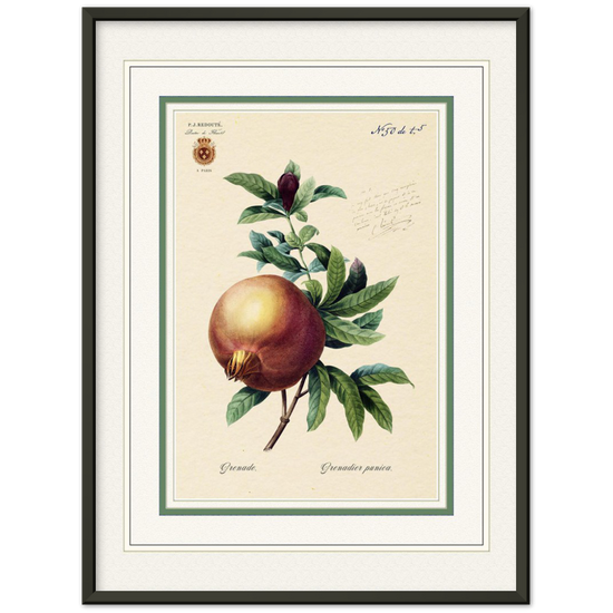 Pomegranate (mat and gold edition)