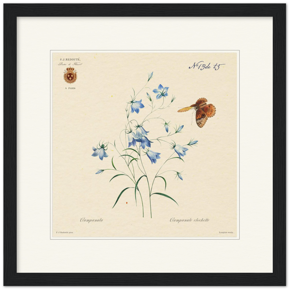 Pierre-Joseph Redouté, floral, flowers, art, wall art, flower prints, botanical, illustration, plants, roses